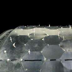 Miele washing machine honeycomb drum