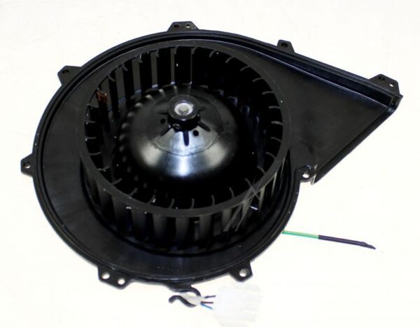 FAN MOTOR