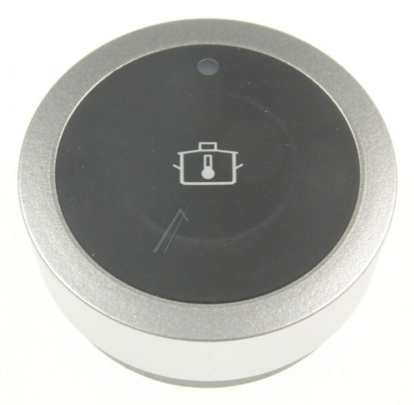 BOSCH/SIEMENS TEMPERATURE SENSOR